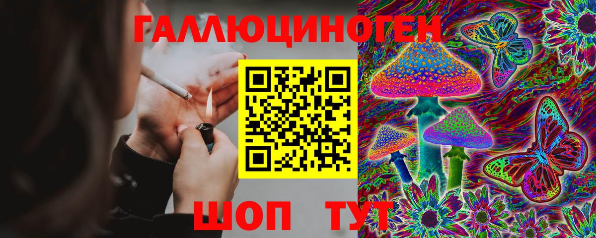 Галлюциногенные грибы MAGIC MUSHROOMS  Вход с VPN  Клин 